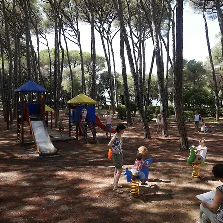 Monolocale In Daire